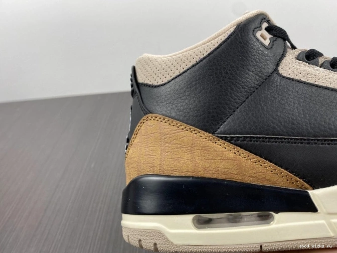 Elephant Desert Air Jordan CT8532-008 3 0709